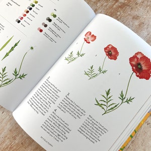 Ein Jahr Aquarell von Harriet de Winton Signierte Kopie Aquarellbuch Blumen Malbuch Malen lernen Kunst Geschenk Bild 4