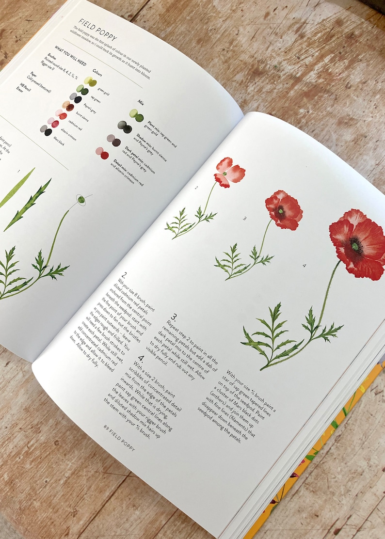 Ein Jahr Aquarell von Harriet de Winton Signierte Kopie Aquarellbuch Blumen Malbuch Malen lernen Kunst Geschenk Bild 4
