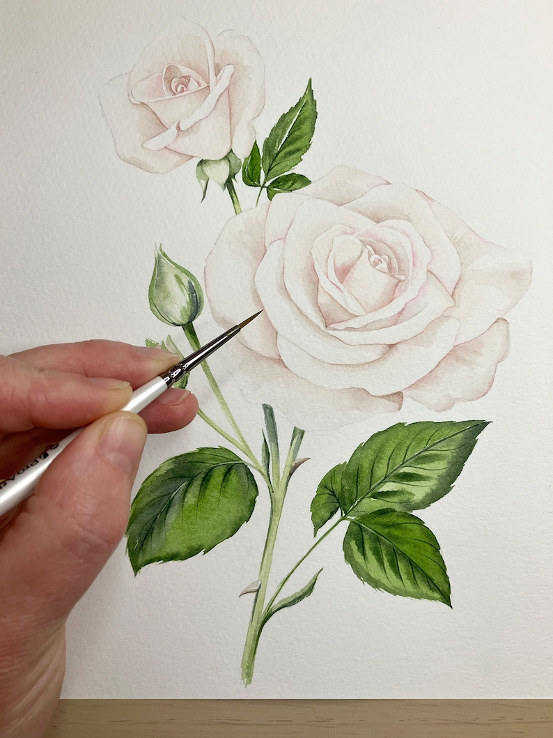 May include: A watercolor painting of a white rose with green leaves. The rose is in bloom and has a delicate, feminine appearance. The artist is using a brush to add details to the painting.