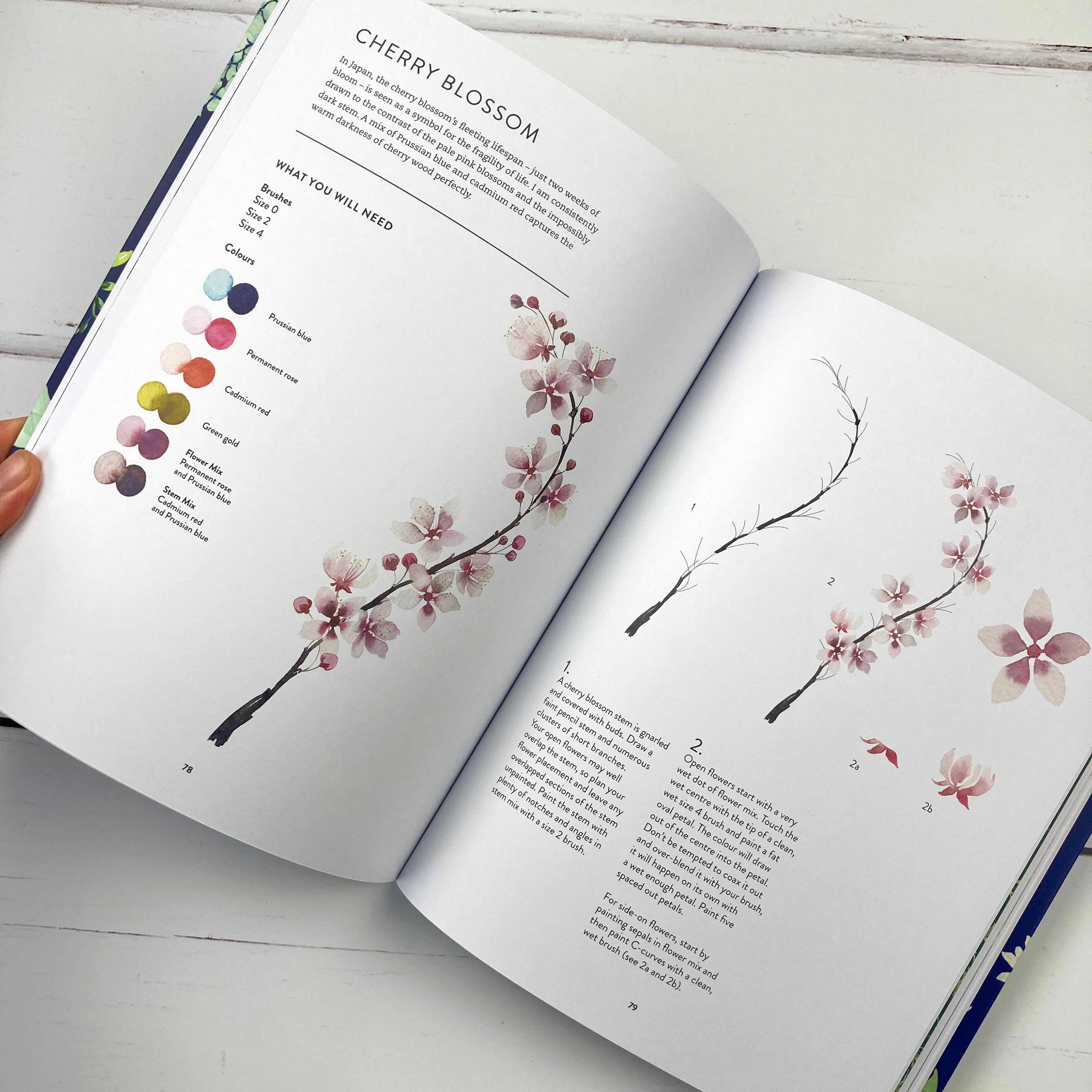 New Botanical Painting by Harriet De Winton Signed Copy - Etsy UK