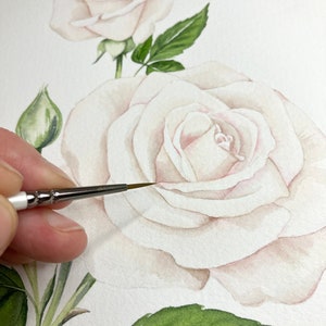 May include: A close-up of a watercolor painting of a white rose with green leaves. The artist is using a small paintbrush to add details to the rose.