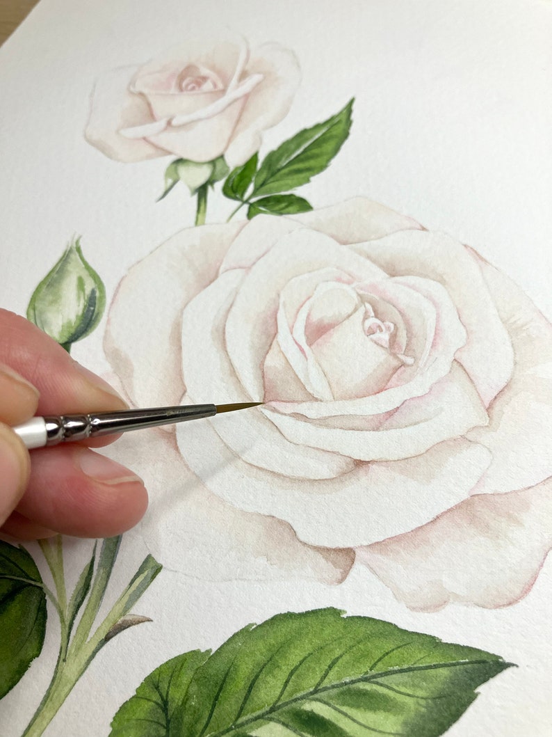 May include: A close-up of a watercolor painting of a white rose with green leaves. The artist is using a small paintbrush to add details to the rose.