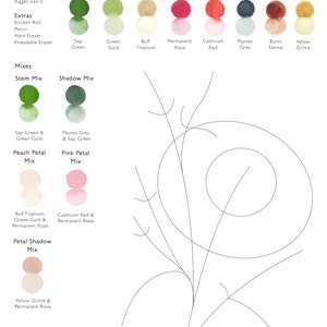 May include: A step-by-step guide to painting a rose with watercolor paints. The guide includes a list of supplies, color swatches, and a drawing guide for the rose.