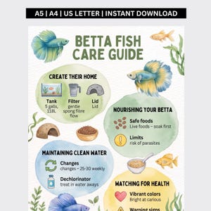May include: A Betta Fish Care Guide infographic featuring watercolor illustrations of betta fish and aquatic plants. The text includes sections on creating a home, nourishing the fish, maintaining clean water, and watching for health, with icons for a tank, filter, lid, food, and water treatment.