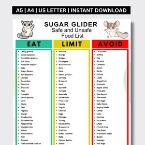 May include: A digital informational chart titled Sugar Glider Safe and Unsafe Food List, featuring illustrations of sugar gliders. It is organized into three color-coded columns: green for Eat, yellow for Limit, and red for Avoid, listing various foods.