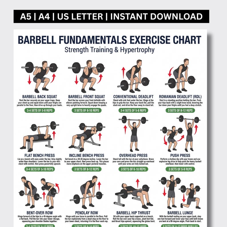 Barbell Workout Chart Printable, Full Body Exercises PDF, Weight ...
