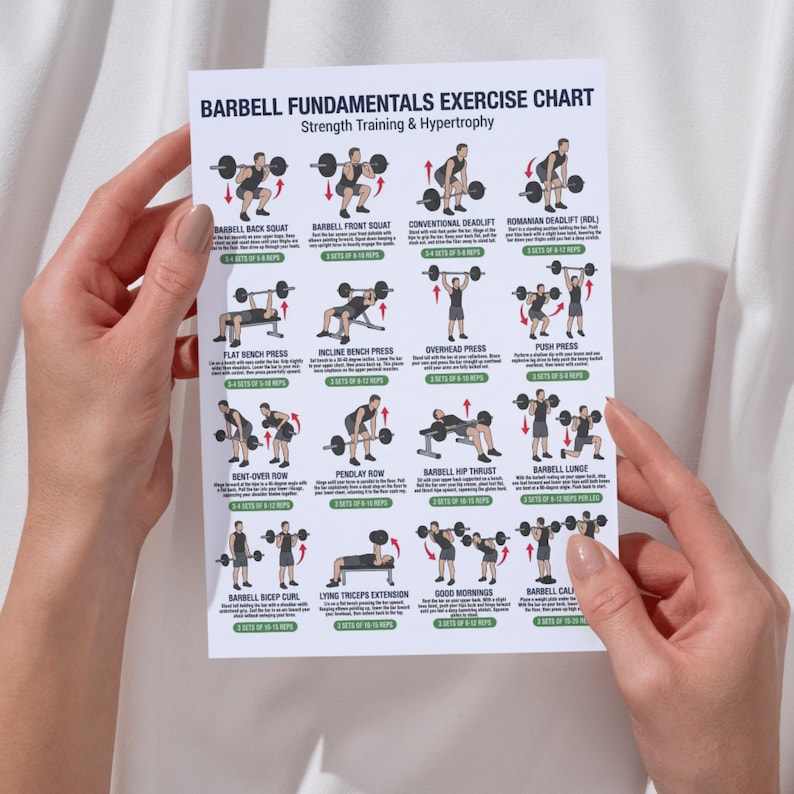 Barbell Workout Chart Printable, Full Body Exercises PDF, Weight ...