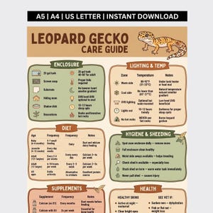 May include: A Leopard Gecko care guide infographic featuring a tan background with brown text and illustrations. It includes sections for enclosure, lighting, temperature, diet, hygiene, shedding, supplements, and health, with a gecko illustration at the top.