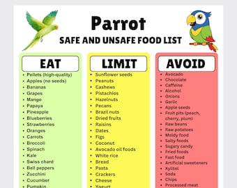 What Can My Parrot Eat Printable PDF, Safe Unsafe Parrot Food Chart, Bird Diet Guide, Parrot Feeding List, New Parrot Owner Gift