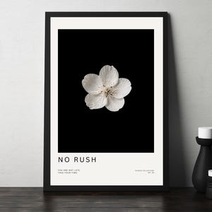 May include: Framed art print featuring a white flower against a black background. The print includes the text "NO RUSH" and the quote "YOU ARE NOT LATE. TAKE YOUR TIME." A black vase and small candle holder are on the right.