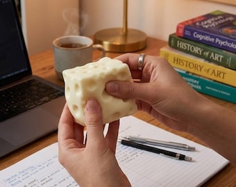 VIRAL Sticky Cheese Block Squishy Kawaii Sensory Fidget Toy