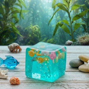 May include: A clear, turquoise resin cube encases various seashells and starfish. A blue plastic fish, a hermit crab, and other seashells are arranged on a wooden surface in front of a blurred underwater background.