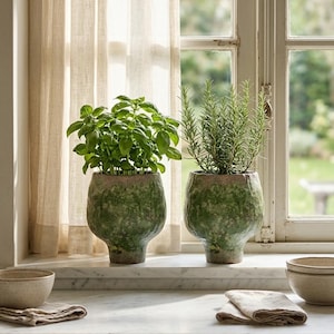 May include: Two textured, bulbous ceramic planters in a mottled green glaze, each holding a live herb plant. One planter contains a lush basil plant with broad leaves, while the other holds a tall, needle-leaved rosemary plant.