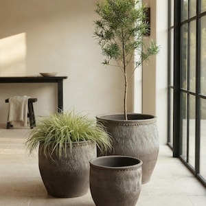 Pode incluir: Um conjunto de três vasos redondos, cinza-escuros, texturizados, com um detalhe subtil de borda perolada. Os vasos apresentam um padrão vertical esculpido na superfície externa. Um contém uma planta verde alta e fina, e outro uma planta herbácea.