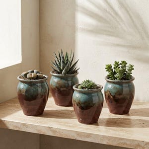 May include: Four small, round ceramic pots with a ribbed base and a glossy glaze that transitions from a deep brown at the bottom to a vibrant teal at the top. Each pot contains a different green succulent plant, including a lithops and a haworthia.
