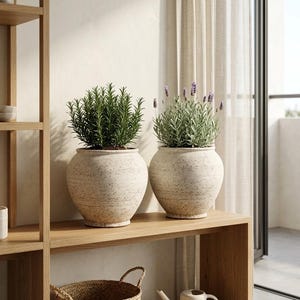 Può includere: Due vasi in ceramica color crema maculato, con corpo largo e base stretta. Un vaso contiene una pianta di rosmarino verde scuro e folto, mentre l'altro ospita una pianta di lavanda con fogliame verde chiaro e spighe di fiori viola.