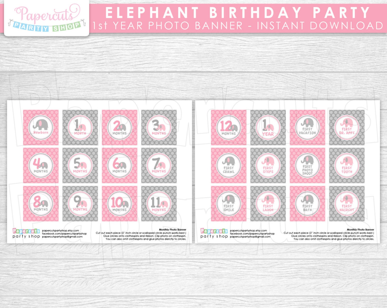 Elephant Theme Birthday Party Month / Milestone First Year | Etsy