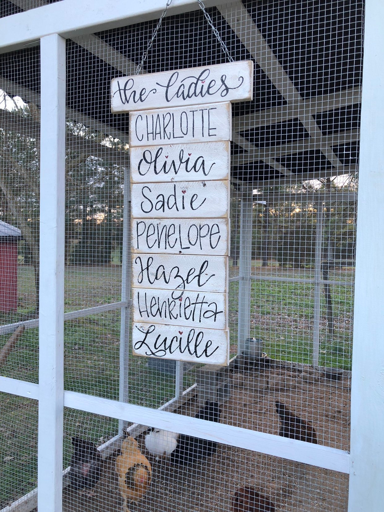 Personalized Farm Sign Modern Rustic Egg Sign Chicken Coop Established Sign Choose Colors and Wording