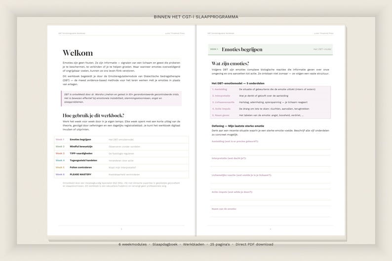 DBT Emotion Regulation Workbook | 6 Weeks DBT Skills PDF | Emotional Balance | Printable Workbook Mental Healthcare | Instant Download image 2