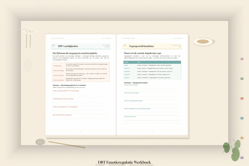 DBT Emotion Regulation Workbook | 6 Weeks DBT Skills PDF | Emotional Balance | Printable Workbook Mental Healthcare | Instant Download image 3