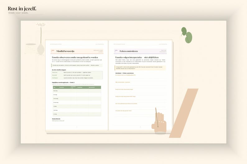 DBT Emotion Regulation Workbook | 6 Weeks DBT Skills PDF | Emotional Balance | Printable Workbook Mental Healthcare | Instant Download image 4