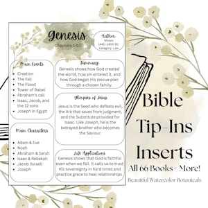 May include: A Bible Tip-Ins insert with the title "Genesis" and a summary of the book's main events, characters, and life applications. The insert includes the author, Moses, and the category, Law. The design features watercolor botanical accents.