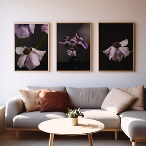 Könnte beinhalten: Drei gerahmte Kunstdrucke mit Nahaufnahmen von hellvioletten Anemonenblüten vor dunklem Hintergrund. Die Drucke werden über einem grauen Ecksofa mit dekorativen Kissen und einem runden Couchtisch aus Holz ausgestellt.