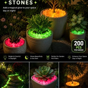 May include: Luminous stones in a 200-piece set, shown as small, colorful pebbles that glow in green, orange, and pink. These decorative stones are displayed inside various plant pots and along a garden path, providing a bright, light-emitting effect.