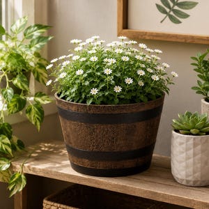 Bloempot boomnerfhars – rustieke bonsaibloempot voor binnen- en buitenplanten