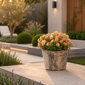 May include: A distressed grey and white planter, filled with peach and yellow flowers, sits on a stone ledge. The outdoor scene includes manicured landscaping, trees, and a modern building with warm lighting.