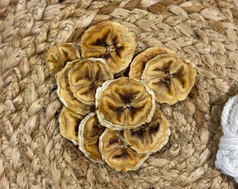 Banana Chips | Dehydrated Fruit | Dehydrated | Small Pet Treats | Bunny Treat | All Organic, Natural, & Healthy | Healthy Small Pet Treats