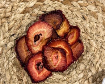Strawberry Slices - Dehydrated Fruit | Dehydrated | Small Pet Treats | All Organic, Natural, & Healthy | Healthy Small Pet Treats