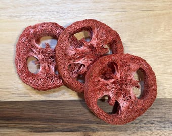 Naturally Infused Loofahs | Organic Flavored Loofah Chew Toy | Small Pet Enrichment | Rabbit Chews