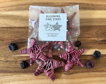 Blooming Stars  - Natural Willow Vine | Small Animal Chew Toy | Rabbit Enrichment | All Organic, Natural, & Healthy | Willow Vine |