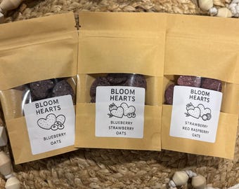Bloom Hearts - Multi Packs | Oat Based | Bunny and Other Small Pet Treats |  All Natural and Organic | Healthy Small Pet Treats