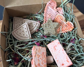 Sweet Summer Sampler Box | Rabbit Forage & Enrichment Box | Rabbit Enrichment | Rabbit Forage