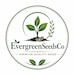 Evergreen Seeds