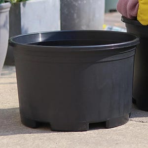 May include: A large, round, black plastic plant pot. The pot has a wide rim and a slightly tapered body. It sits on a concrete surface, with other pots visible in the background. The pot is designed for outdoor or indoor use.