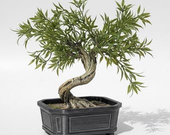 Artificial Bonsai Tree Jikyu (Endurance ) Twisted Form Minimalist Japanese Decor Faux Plant Sculpture