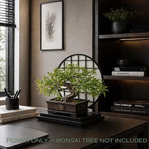 May include: A dark brown rectangular wooden plinth with a smooth finish and a small oval indentation on the front side. The plinth is designed as a base for a bonsai tree, featuring a sturdy construction with four small feet at the corners.