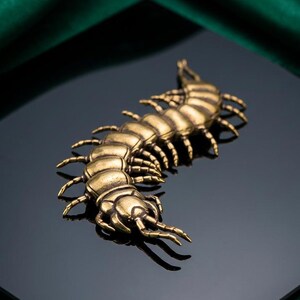 May include: A detailed, antique-style brass centipede figurine. The insect is posed on a reflective black surface, with a dark green fabric in the background. The centipede has many legs and segmented body.