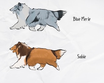 Sheltie Holographic Sticker
