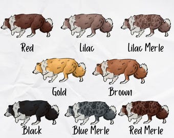 Border Collie Holographic Sticker