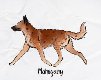 Belgian Shepherd Laekenois Holographic Sticker