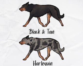 Beauceron Holographic Sticker