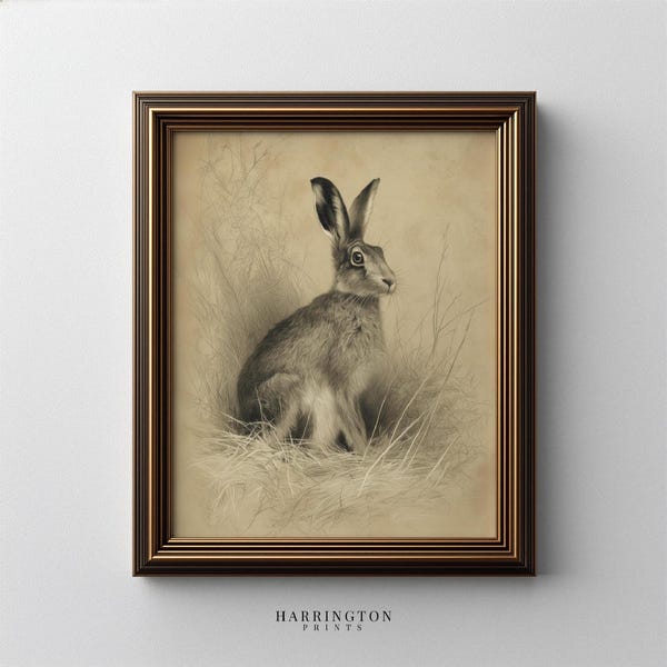 Vintage Hare Illustration, Antique Woodland Rabbit Drawing Sketch, Rustic Animal Wall Decor (Archival Art Print) 35
