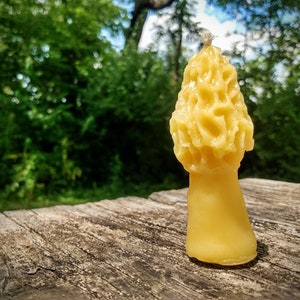 Morel Mushroom Beeswax Candle - (Small) - All Natural and Handmade - 100% Beeswax