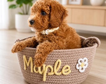 Personalized Pet Basket, Custom Dog Toy Storage Bin, Cat Toy Organizer Basket, Pet Gift