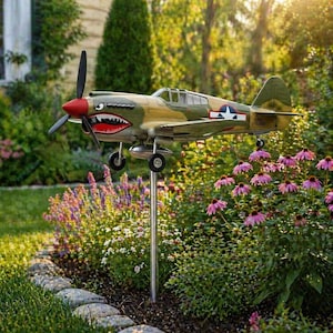 Può includere: Decorazione da giardino a forma di aereo in metallo. L'aereo modello ha un naso rosso, un design a bocca di squalo e un'elica. Le ali sono dipinte con colori mimetici e la coda presenta una stella. L'aereo è montato su un palo di metallo in un giardino.