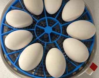 Goose egg tray for Nurture Right 360 Incubator.